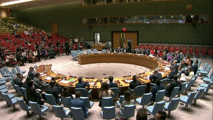 Misión de la ONU ayudará a las FARC a regresar a la vida civil