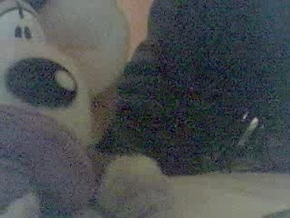 Diiddl