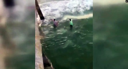 Man Grabs Shark By The Tail - And Gets Viciously Bitten