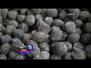 Tidak Hanya Untuk Dimasak, Kemiri Ini Bisa Diadu Dalam Permainan - NET5