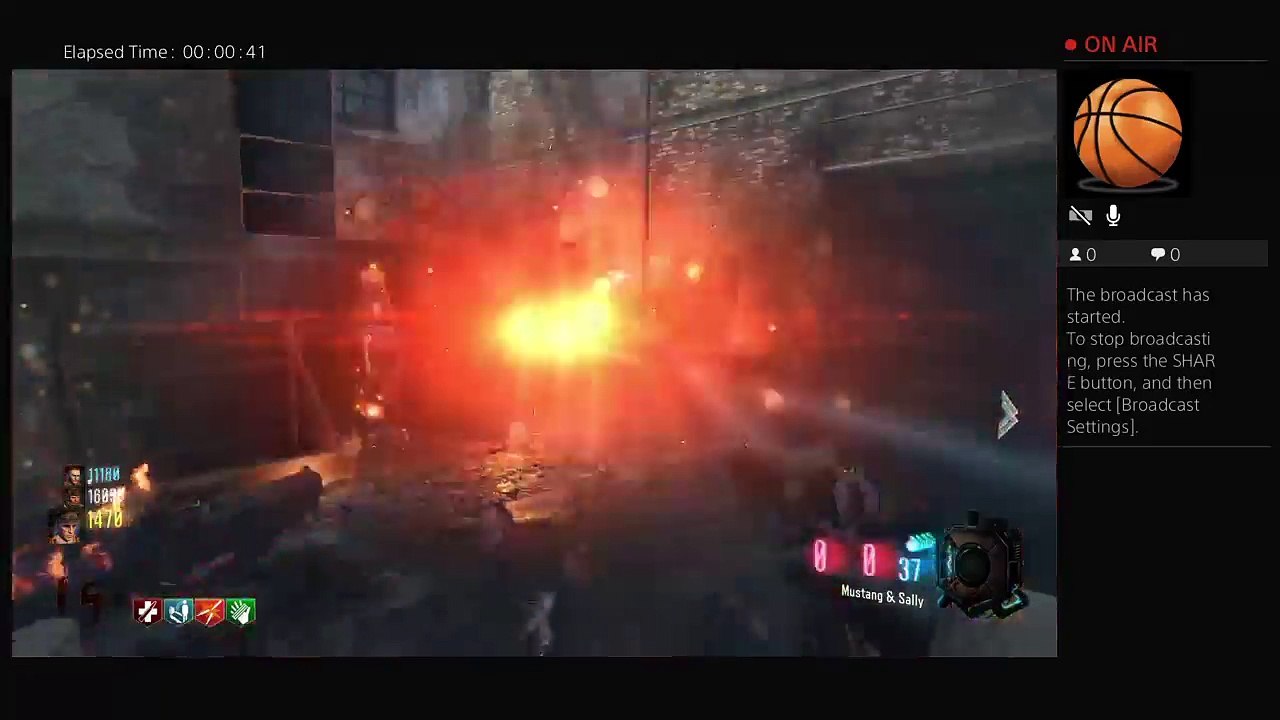 RulezSnipes (43)