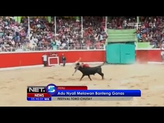 8 Orang Diseruduk Banteng Dalam Festival Adu Banteng - NET5