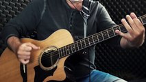 Alan Walker  Tired  Igor Presnyakov  Fingerstyle Guitar Cover