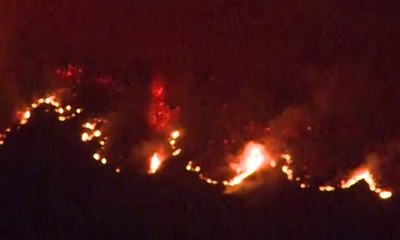 Kebakaran Hutan di California, 5.000 Petugas Dikerahkan