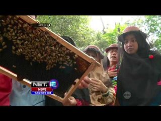 Destinasi Wisata Budidaya dan Panen Madu di Taman Madu Pramuka - NET12