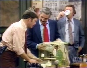 Barney Miller S06E07 The Bird