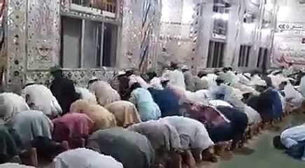 استاد مولوی صاحب کو شکار پے جانا ہے جلدی کریں