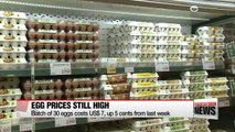 Thai egg imports have no effect on egg prices