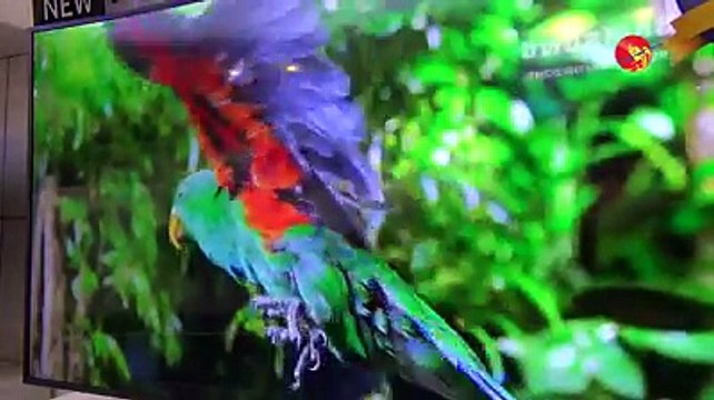 ရာႏႈန္းျပည့္ ႐ုပ္ထြက္အားေကာင္းၿပီး ၾကည္လင္ျပတ္သားတဲ့ QLED TV ကို Samsung မိတ္ဆက္ (႐ုပ္/သံ)