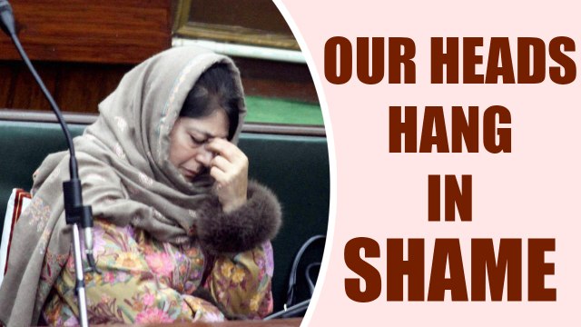 Amarnath Attack : Mehbooba Mufti condemns shameful attack on pilgrims | Oneindia News