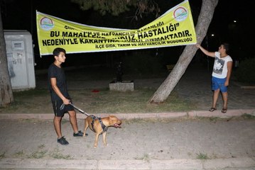 Adana'da Kuduz Karantinası! Mahallenin Girişine Pankart Astılar
