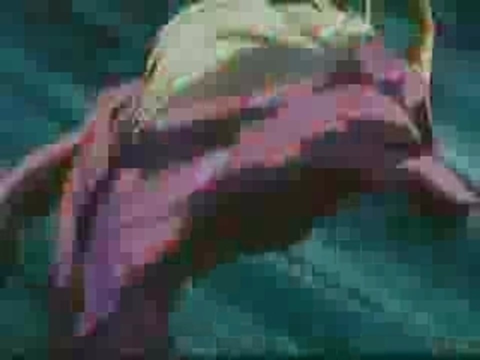 AMV - InuYasha - The Dog Demon - Head Strong