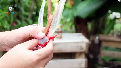 Condom Life Hacks _ Thaitrick