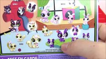 Enfants pour et dessins animés poney avec animalerie de chats surprise de la famille de mlp mai Petits lps vidéo