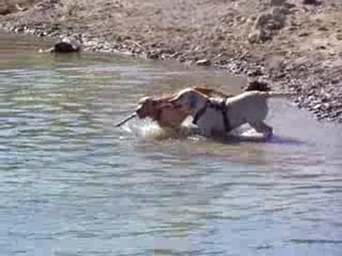 2007-10-21 Héra Hermès au Lac