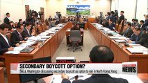 Seoul, Washington discussing secondary boycott as option to rein in North Korea: Kang