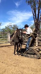 Ce cavalier paraplégique s'occupe encore de son cheval malgré sa maladie