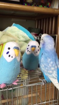 Quand tes potes ne veulent pas danser en soirée!