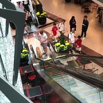Il doit porter son gros chien dans les bras pour le faire monter l'escalator... Un vrai bébé