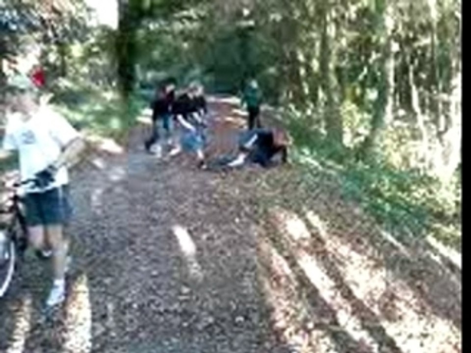 Rugby
