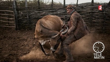 Échos du monde - Cow-boy, la fin d’un mythe