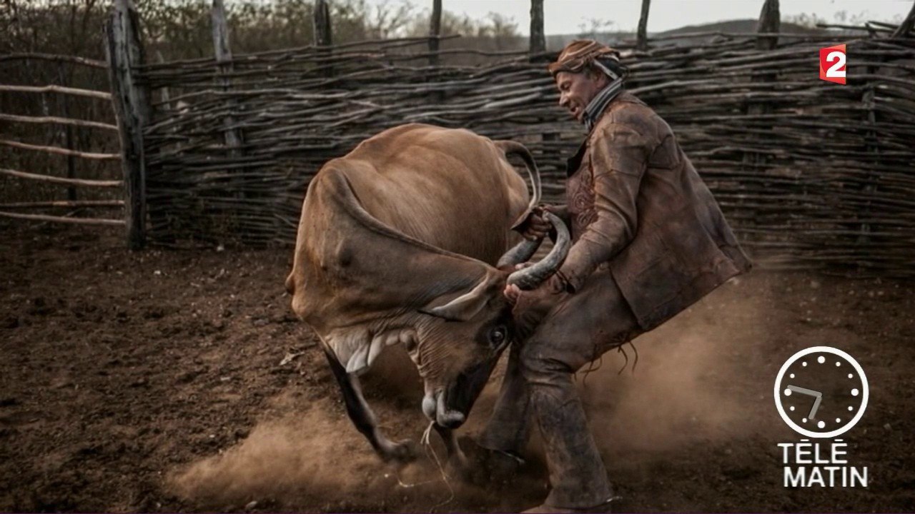 Échos du monde - Cow-boy, la fin d’un mythe