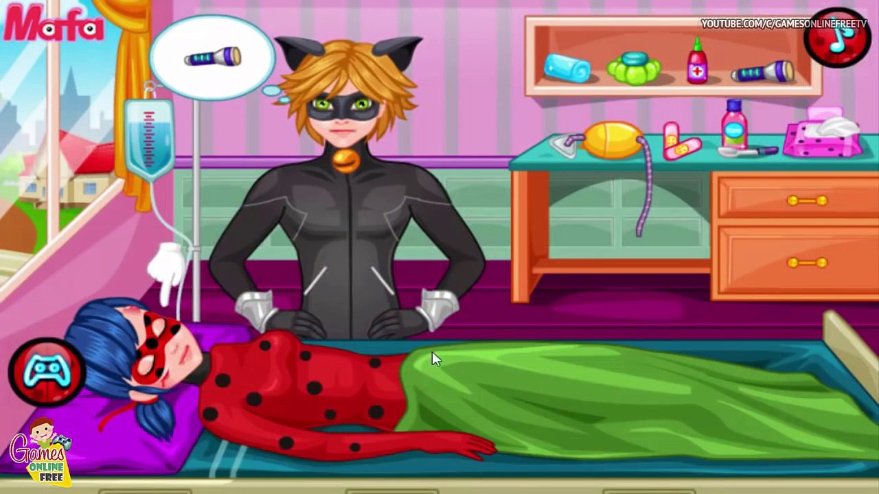 Aide et chat première Coccinelle miraculeux histoire avec noir