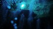 Plongée dans les eaux d'un gouffre de 65m de profondeur en Australie !
