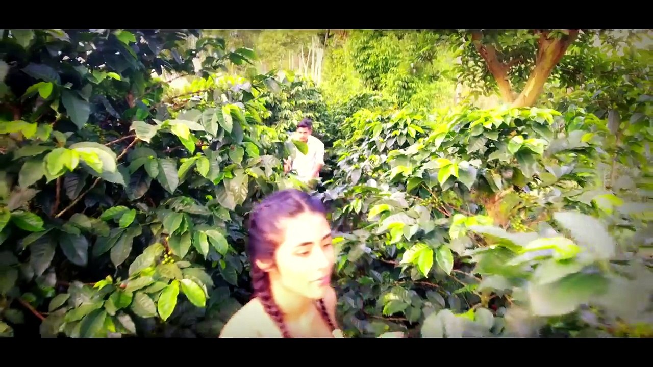 Lion Reggae - Ojos De Café (Official Music Video)
