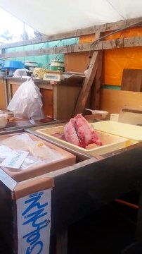 Un filet de poisson fraichement coupé se débat