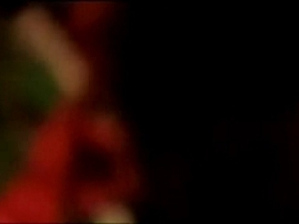 LOS ALAMOS - Lost Alamo (from the film "MONO")