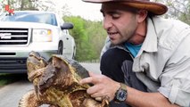 Un et un à un un à par par donnant île Il vie homme sur enregistrer Mer le le le le la Ceci regarder Les cpr nbc de la tortue