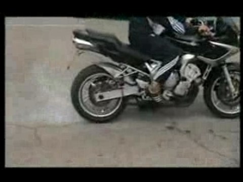 Clip cicatrices-1er Tour