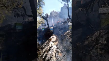 Emergjencat Civile: 12 vatra zjarri gjatë 24 orëve të fundit