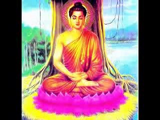 GIEO NHÂN GẶT QUẢ