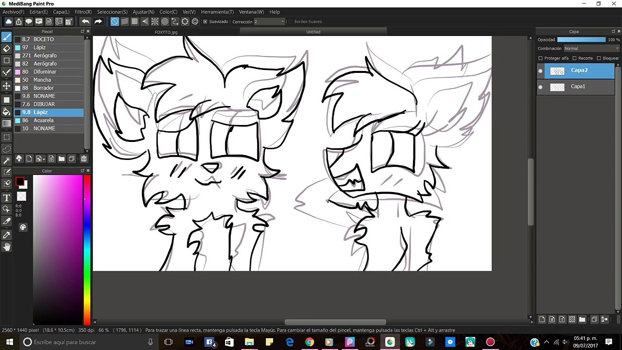 PAINT/FOXYES