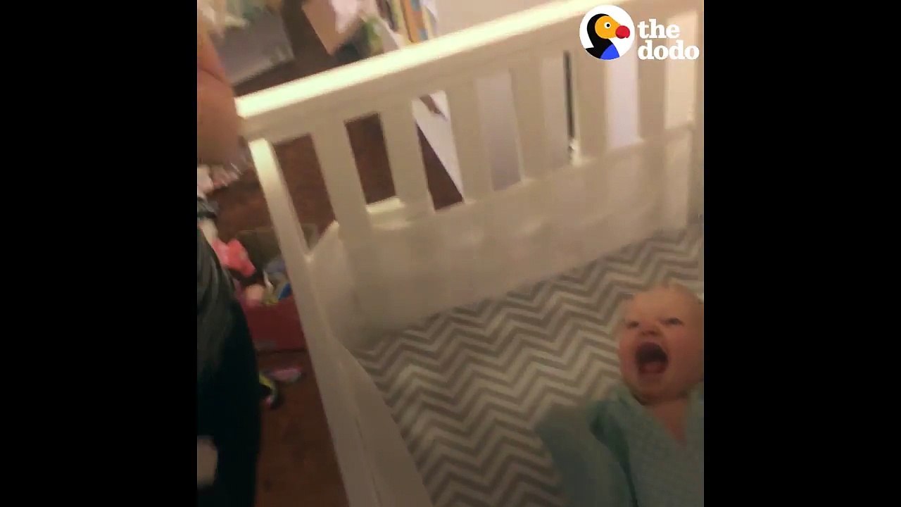 Ce bébé devient totalement "FOU" quand il voit son chat