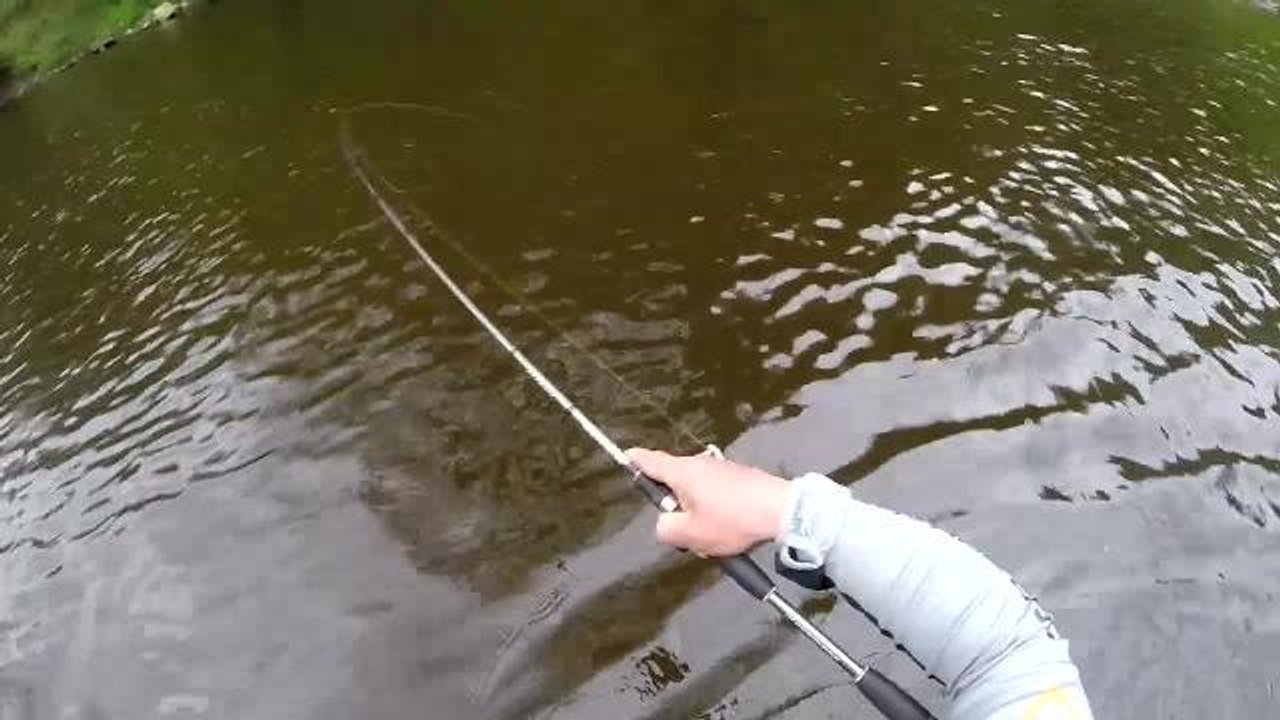 Encore une très jolie truite capturée au leurre