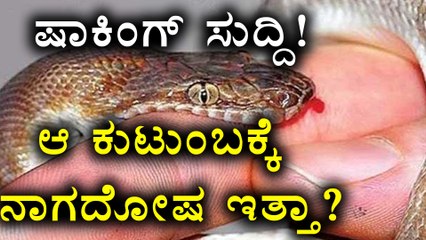 Chitradurga Tragic Incident : 3 People Killed By Snake Bite | Oneindia Kannada