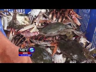 Nelayan Dibanjiri Lobster Pasca Gelombang Pasang - NET5