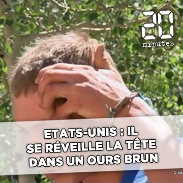 Etats-Unis: Un campeur se réveille la tête dans la gueule d'un ours