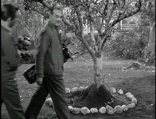 Mister Ed S02E19 - Ed's Word Of Honor