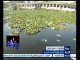 #غرفة_الأخبار | د‪.‬سعد مكي وكيل وزارة الصحة بالبحيرة: الكيماويات سبب نفوق الأسماك بالبحيرة