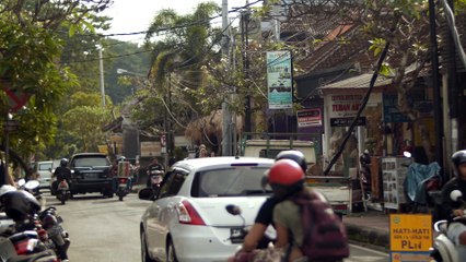 Monkey Mayhem in Bali