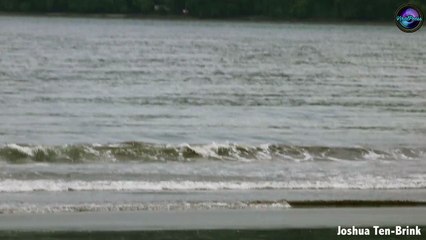 Crocodile Eating A Stingray Yards From The Shore