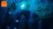 Divers Explore Kilsby’s Sinkhole in South Australia