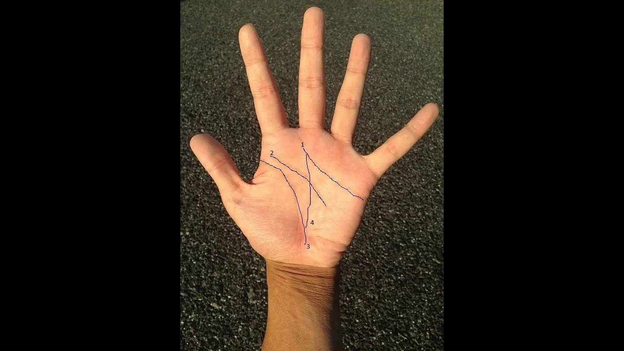 Read your Palm lines