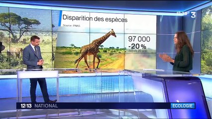 La sixième extinction de masse