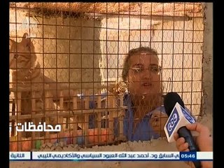 #أخبار‪_‬المحافظات | فريق سويسري يجمع الحيوانات الضالة ويعتني بها بالغردقة