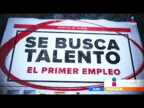 Primer empleo en México | Noticias con Francisco Zea